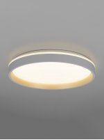 Светильник потолочный Citilux CL753450G ENZO