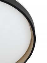 Светильник потолочный Citilux CL753451G ENZO