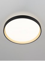 Светильник потолочный Citilux CL753451G ENZO