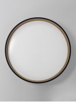 Светильник потолочный Citilux CL753451G ENZO