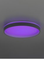 Светильник потолочный Citilux CL753453G ENZO