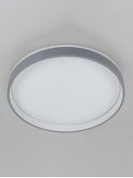 Светильник потолочный Citilux CL753453G ENZO