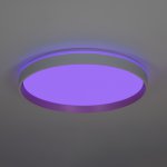 Светильник потолочный Citilux CL753510G ENZO