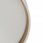 Светильник потолочный Citilux CL753510G ENZO