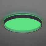 Светильник потолочный Citilux CL753513G ENZO