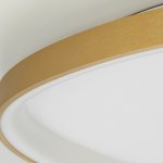 Citilux GENKA SMART CL756A162 LED RGB Умная люстра