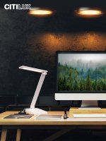 Настольный светильник Citilux CL803080 Ньютон