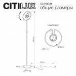 Citilux CL810031