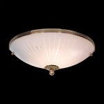 Светильник настенный бра Citilux CL912321