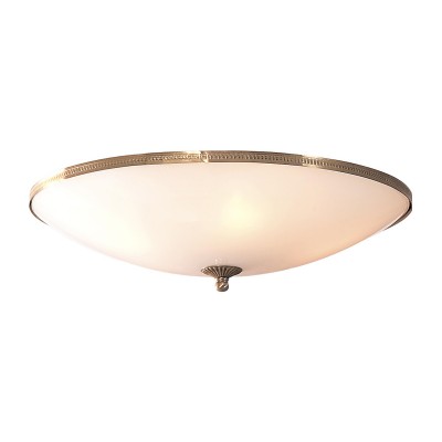 

Светильник настенно-потолочный Citilux CL912500 Белый, CL912500