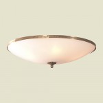 Светильник настенно-потолочный Citilux CL912500 Белый