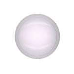 Светильник настенно-потолочный Citilux CL918081 Лайн