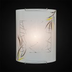 Светильник настенный бра Citilux CL921009 Ива