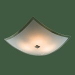 Светильник настенно-потолочный Citilux CL931021 Лайн