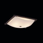 Светильник настенно-потолочный Citilux CL932111 Белый