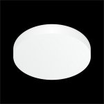 Светильник потолочный светодиодный Citilux CLD5224N