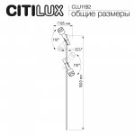 Citilux SPOTTER CLU11B2 Ландшафтный поворотный светильник Чёрный