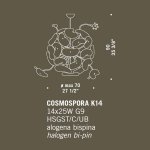 Люстра De Majo COSMOSPORA