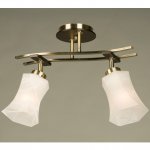 Светильник потолочный Citilux CL142123 Мерида