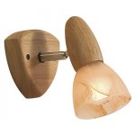 Светильник поворотный спот Citilux CL505511 Монте