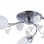 Светильник Colosseo 72163/3C Optima