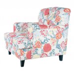 Классическое кресло Somac Color MAK interior DF-1814-C Разноцветный