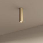 Накладной светильник Denkirs DK2052-SG TUBE
