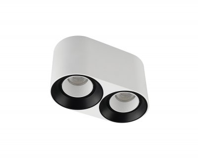 Светильник Denkirs DK3096-WB+WH