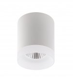 Светильник Denkirs DK4010-WH