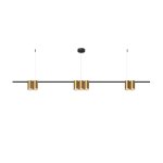 Потолочный подвесной светильник Denkirs DK4063-BK+SG Orbit