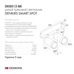 Акцентный светильник Denkirs DK8012-BK