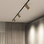 Светильник на шине Denkirs DK8020-BG SMART SPOT