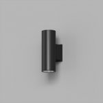 Светильник настенный Denkirs DK9821-BK BORG