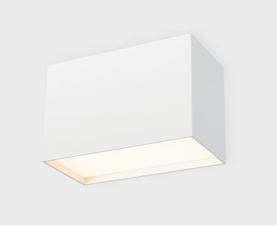 DL 3029 white 4000K светильник потолочный