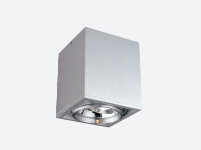 Светильник накладной Donolux DL18408/11WW-SQ 