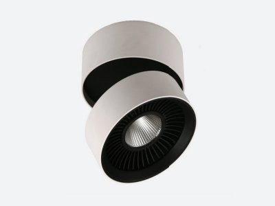 Светильник накладной Donolux DL18409/11WW-R 