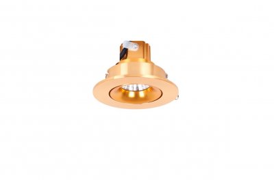 Светильник встраиваемый Donolux DL18464/01WW-GoldR