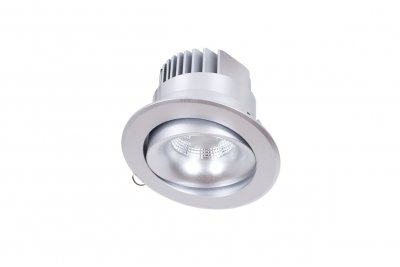 Светильник встраиваемый Donolux DL18465/01WW-SilverR Светильник встраиваемый Donolux DL18465/01WW-SilverR