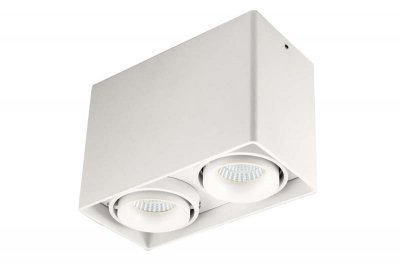 Светильник накладной Donolux DL18610/02WW-SQWhite 