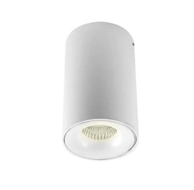 Светильник накладной Donolux DL18612/01WW-RWhite 