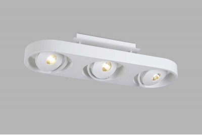 Светильник накладной Donolux DL18697/13WW-White Светильник накладной Donolux DL18697/13WW-White