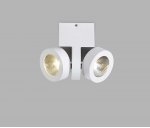 Настенно-потолочный Donolux DL18698/12WW-White