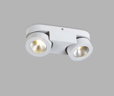 Светильник накладной Donolux DL18699/12WW-White 