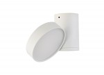 Светильник светодиодный накладной Donolux DL18811/15W White R Dim