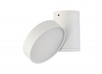 Светильник светодиодный накладной Donolux DL18811/23W White R Dim