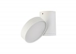 Светильник светодиодный накладной Donolux DL18811/9W White R Dim