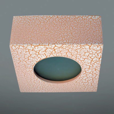 Накладной потолочный Donolux DL218G/1