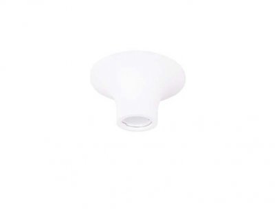 Накладной потолочный Donolux DL260G