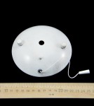 Светильник настенный бра Odeon light 2686/1W PADMA