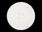 Сонекс LIMURA 2034/C настенно-потолочный светильник